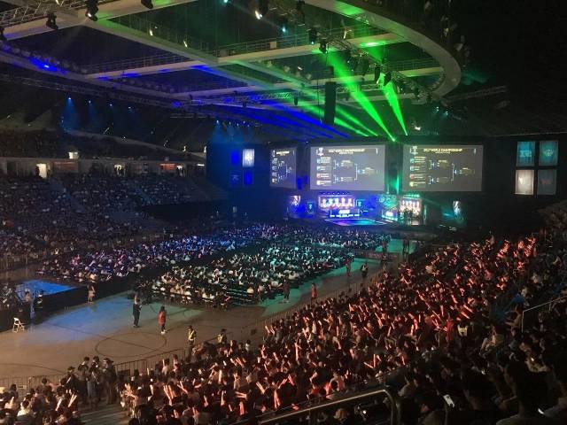 性和观赏性 性和观赏性